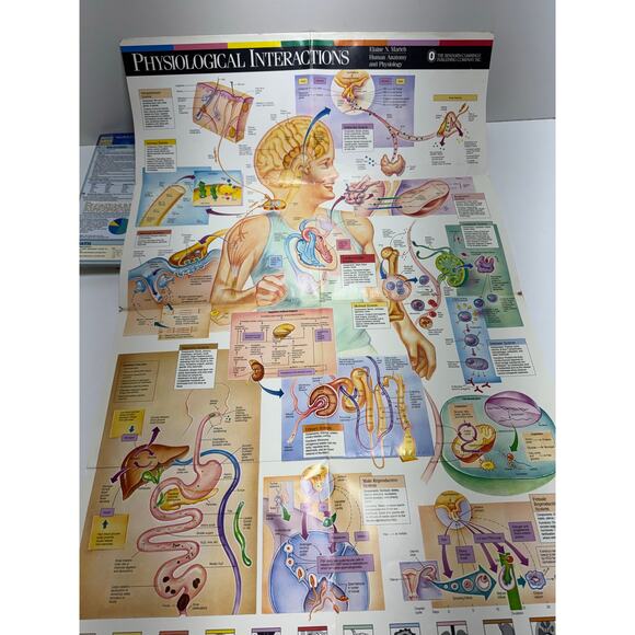 McGraw Hill ATI TEAS Study Guide Practice Tests Lot Of Three - Picture 11 of 12